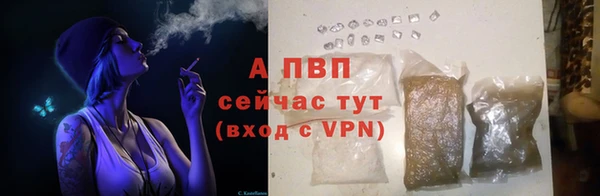 СК Зеленокумск