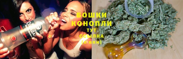 СК Зеленокумск