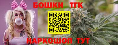индика Кинель