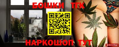 индика Кинель
