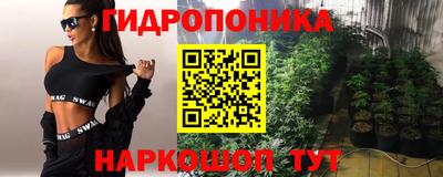индика Кинель