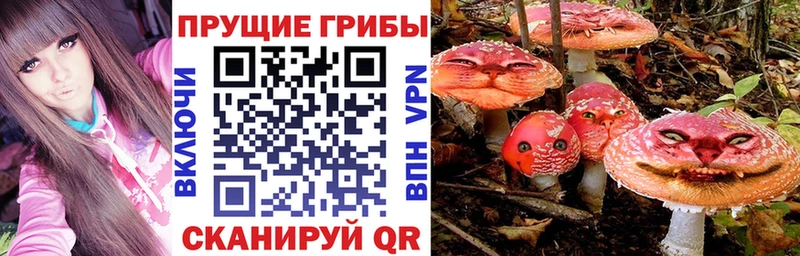 Псилоцибиновые грибы ЛСД  Сибай 