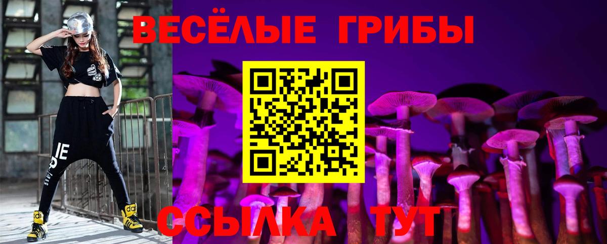 Псилоцибиновые грибы Cubensis Сибай