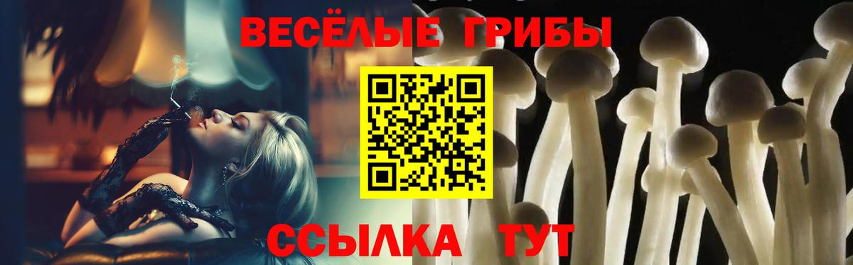 как найти закладки  Вход с VPN  Сибай  Псилоцибиновые грибы мухоморы 